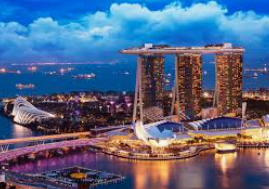 世界杯下单平台网站官网免费版