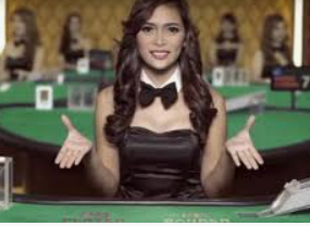 世界杯下单平台网站官网2024最新版